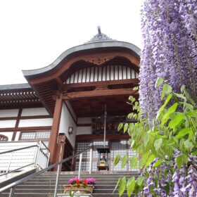 安養院　正面