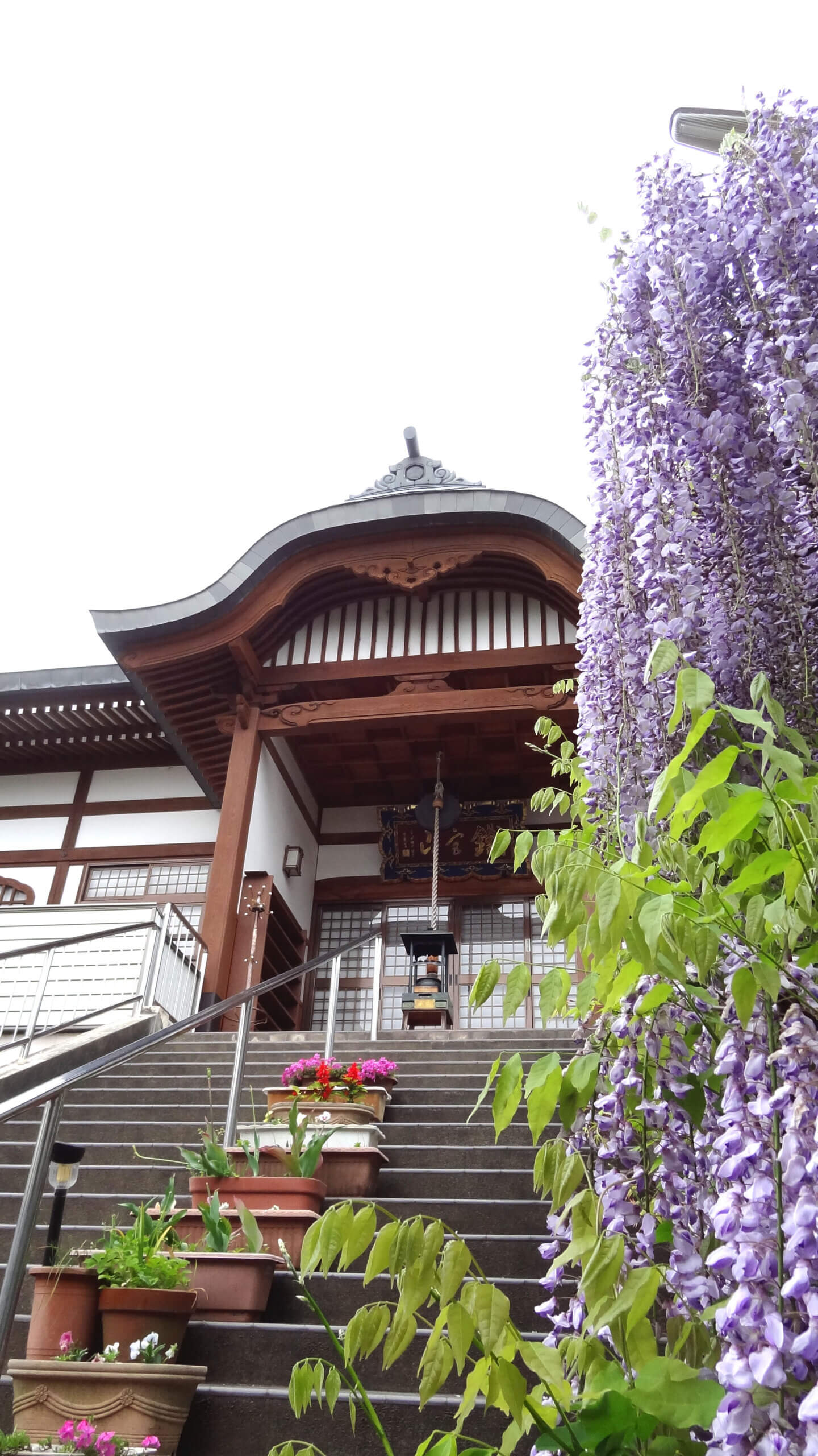 安養院　正面